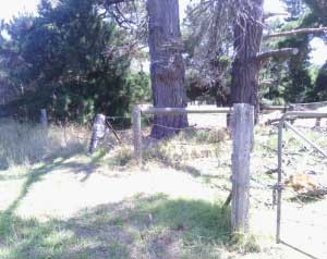 Chris' Rural Fencing - Broken Fence